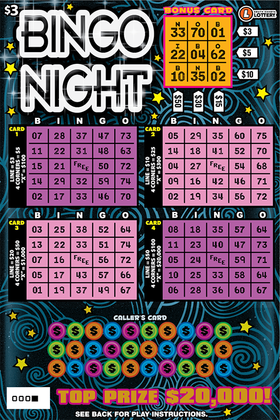 Bingo Nights