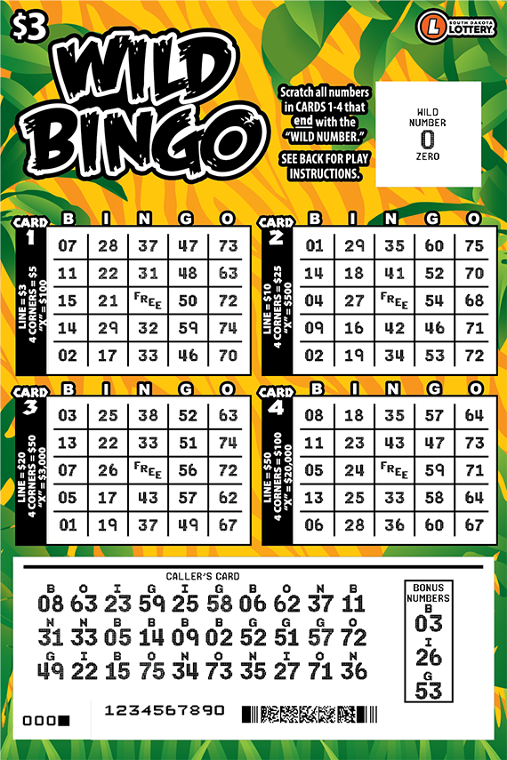 Wild Bingo ticket art scratched